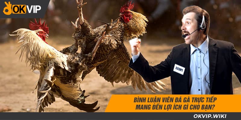 Bình Luận Viên Đá Gà Trực Tiếp Mang Đến Lợi Ích Gì Cho Bạn?
